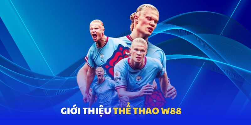 Giới thiệu chung về thể thao WW88