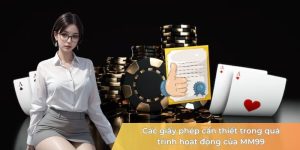 cac-giay-phep-can-thiet-trong-qua-trinh-hoat-dong-cua-mm99